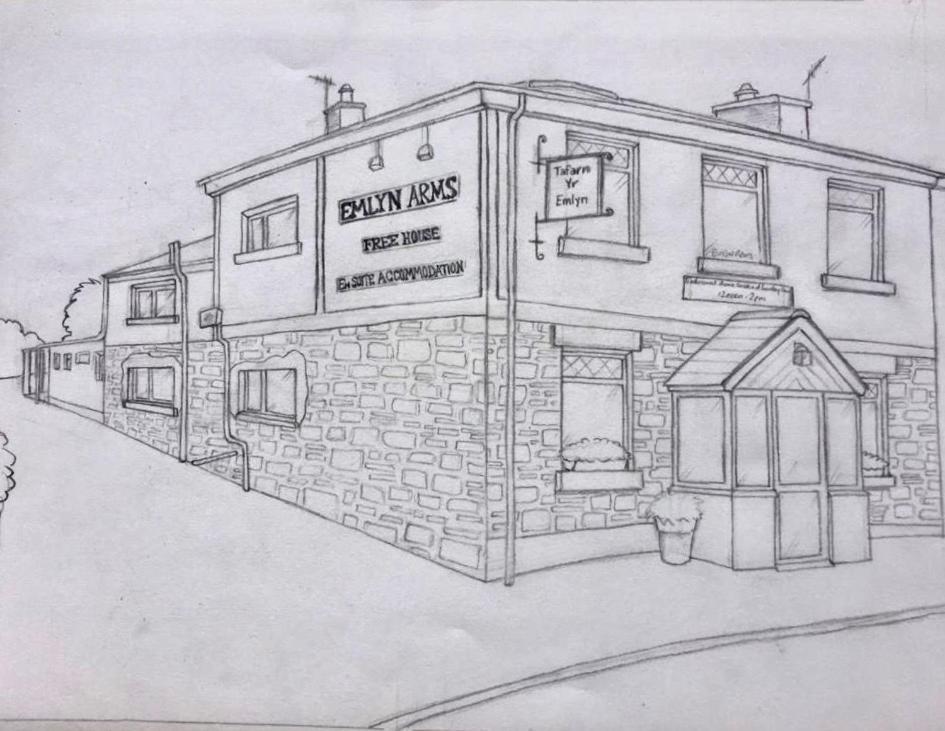 Emlyn Arms Bed & Breakfast Llanarthney Luaran gambar