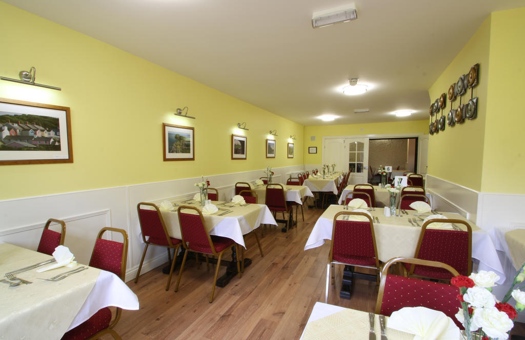 Emlyn Arms Bed & Breakfast Llanarthney Luaran gambar